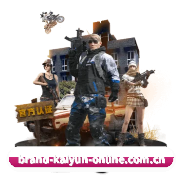 开云电竞官网 APP(kaiyun)